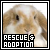 Animal Rescue and Adoption Groups