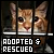 Adopted and Rescued Cats