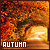 Fall / Autumn
