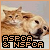 ASPCA / NSPCA
